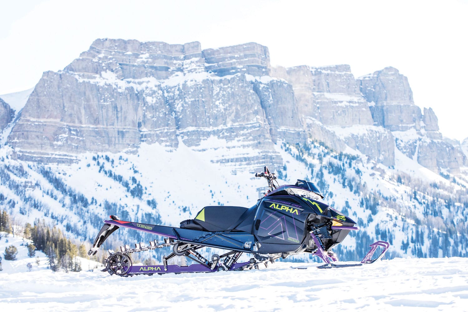 2019 Arctic Cat Alpha One test