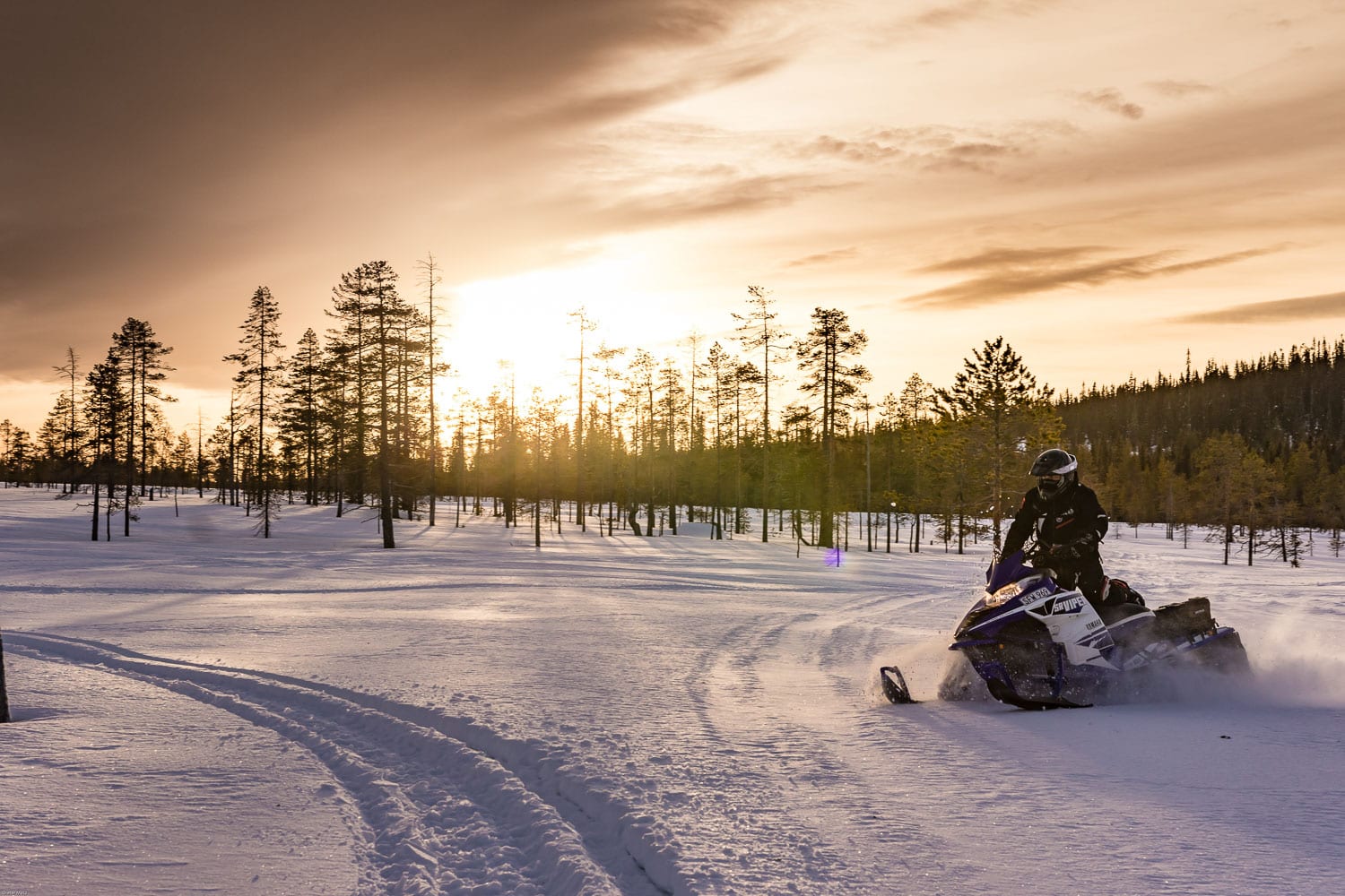 Stay on the trail or stay home!