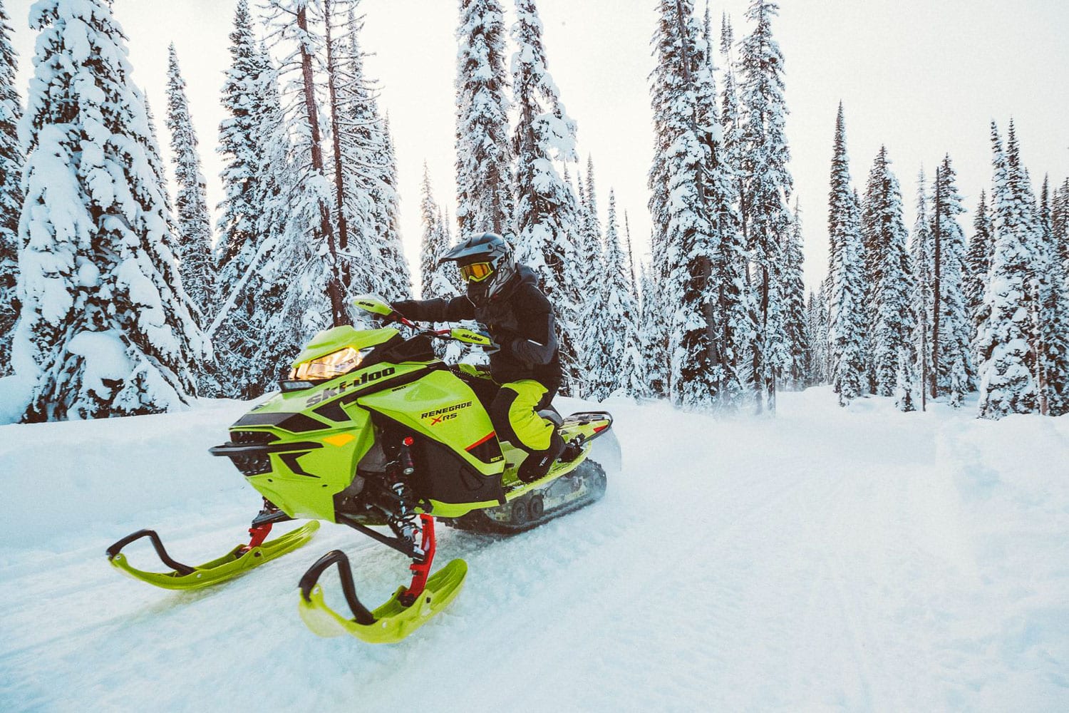 Motoneige Ski-Doo 2020 Nouveautés