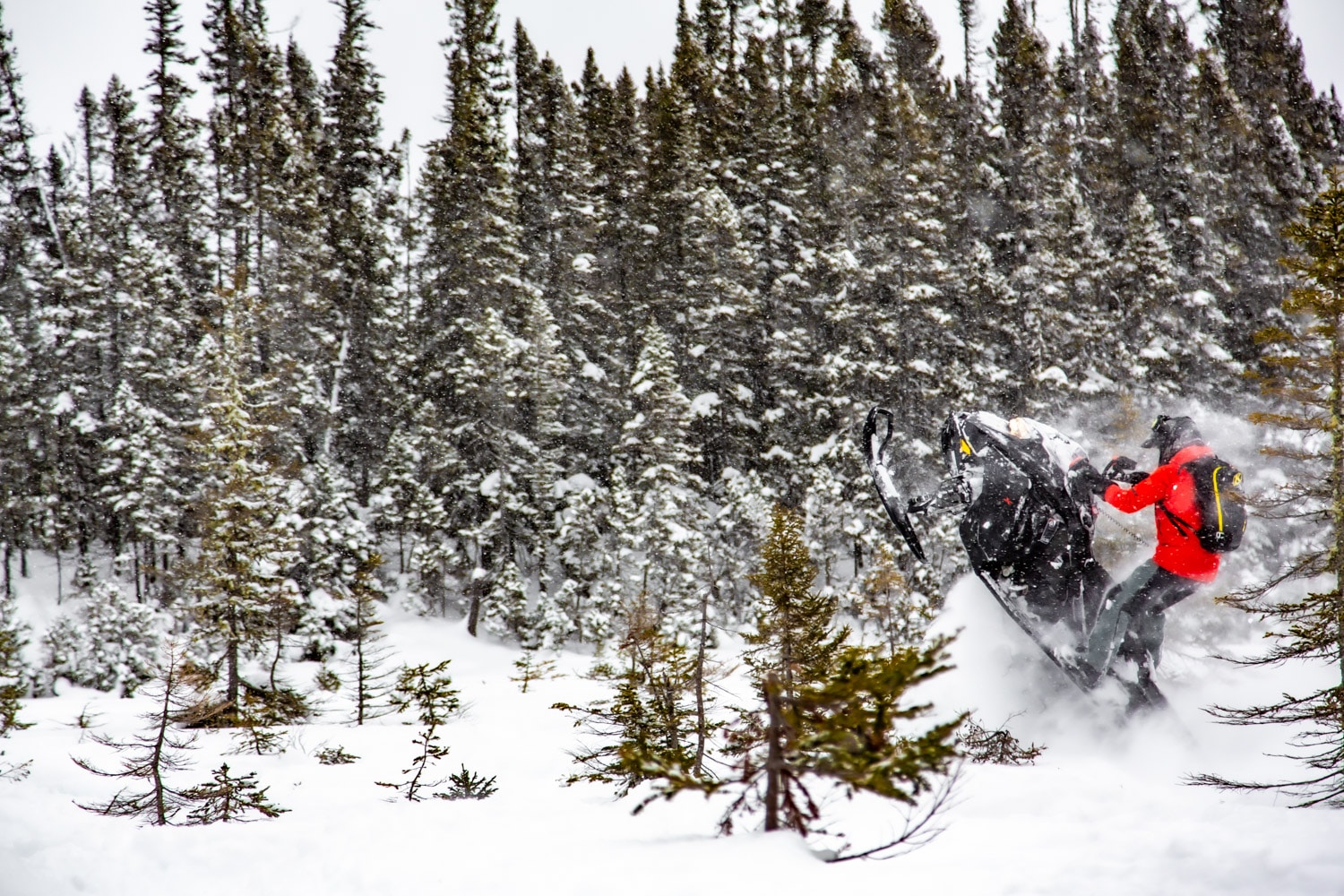 Backcountry snowmobiling for beginners