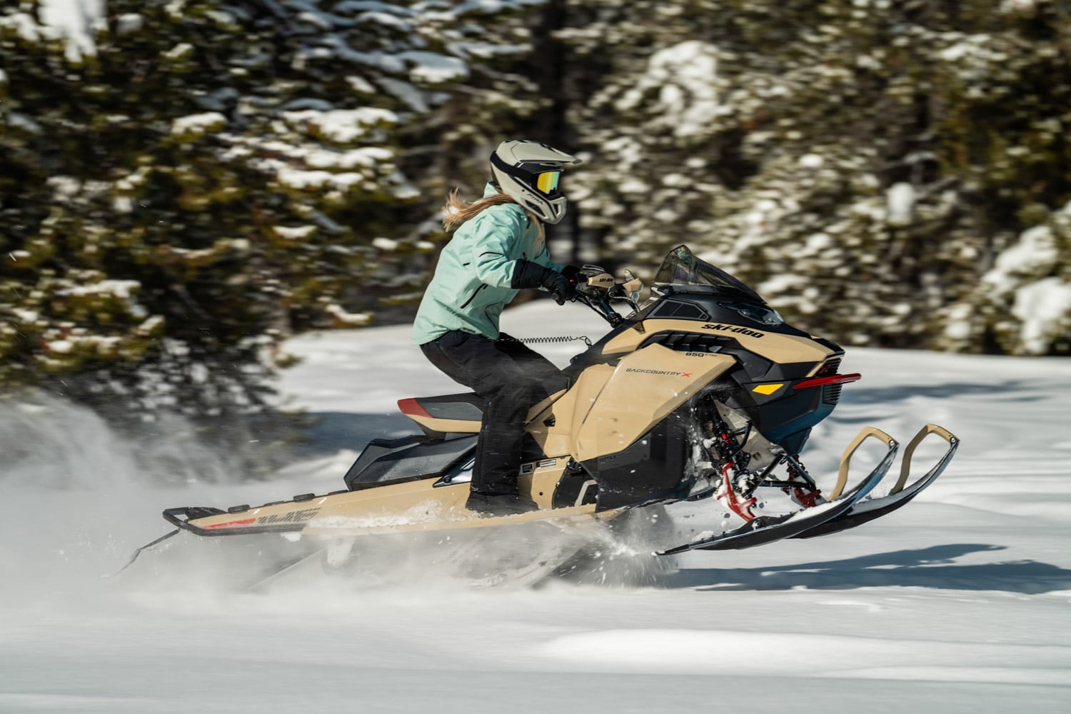 2024 SkiDoo Backcountry Snowmobile Passion