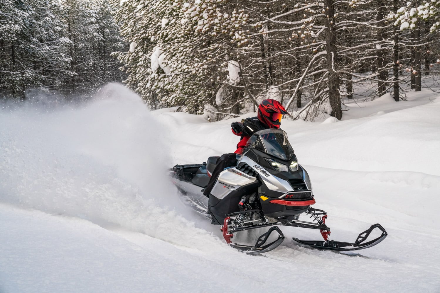 2024 SkiDoo Renegate Snowmobile Passion
