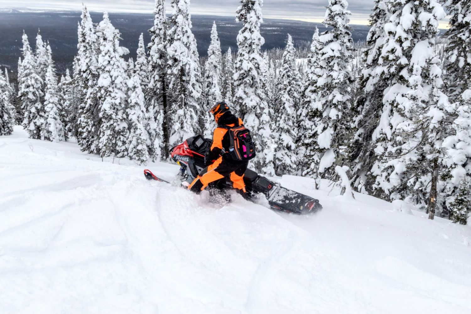 Off-track snowmobiles